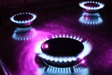 Prezes Urzędu Regulacji Energetyki zatwierdził 5,9-proc wzrost ceny paliwa gazowego dla klientów PGNiG Obrót Detaliczny.