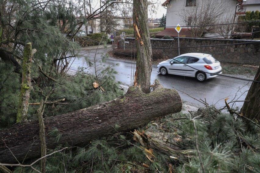 Wichura w Małopolsce. Ponad 150 tys. domostw bez prądu. Trwa walka ze skutkami żywiołu