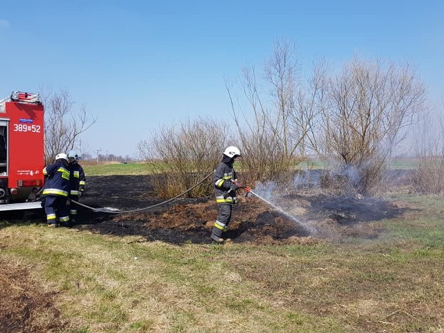 W niedzielę strażacy z Tarnobrzega-Wielowsi gasili kolejny pożar suchych traw na nieużytkach w swojej miejscowości