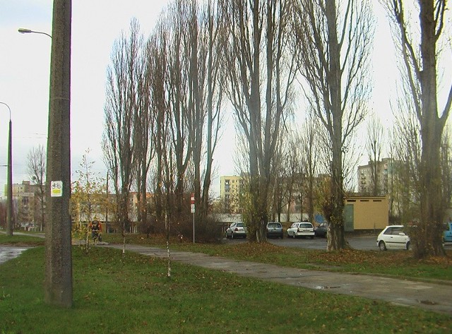 Chodnik przy ul. Kombatantów to poukładane niemal 30 lat temu betonowe płyty.