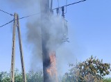 Dwa pożary transformatorów w gminie Błędów. To przez upał?