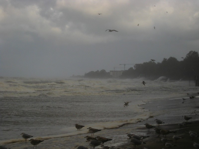 Wichura i sztorm w Kołobrzegu