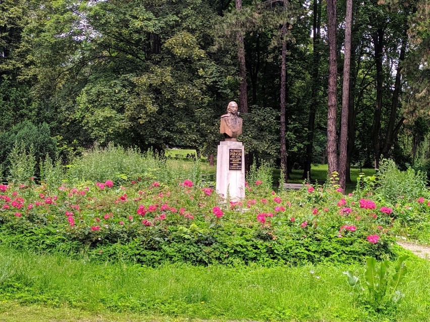 Szalone wiewiórki w parkach pod Jasną Górą. Co jeszcze kryje...