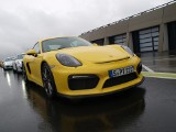 Porsche Cayman GT4. Cena i dane techniczne [video]