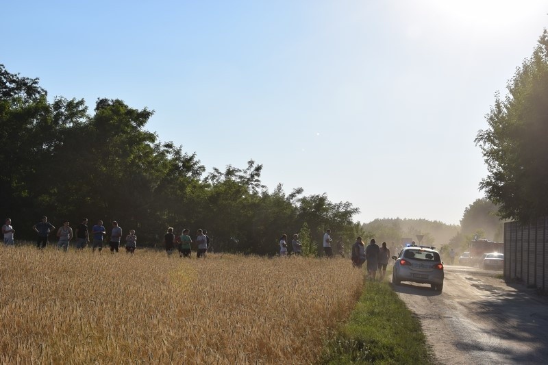 Pożar wysypiska śmieci w Mostkach koło Zduńskiej Woli