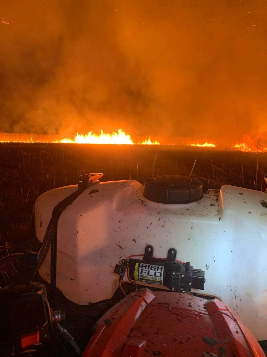 Gmina Wieniawa. Strażacy gasili wielki pożar trzcin na nieużywanych już stawach rybnych w Kłudnie