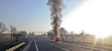 Pożar samochodu na drodze krajowej nr 92 koło Świebodzina. Auto spłonęło doszczętnie [WIDEO, ZDJĘCIA]