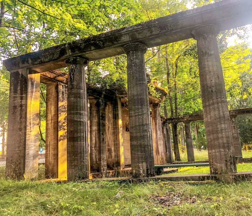 Zdaniem wielu zielonogórzan Park Tysiąclecia powinien...