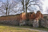 Średniowieczne mury obronne Gryfina zostaną odrestaurowane? Jest projekt i wniosek do ministerstwa  