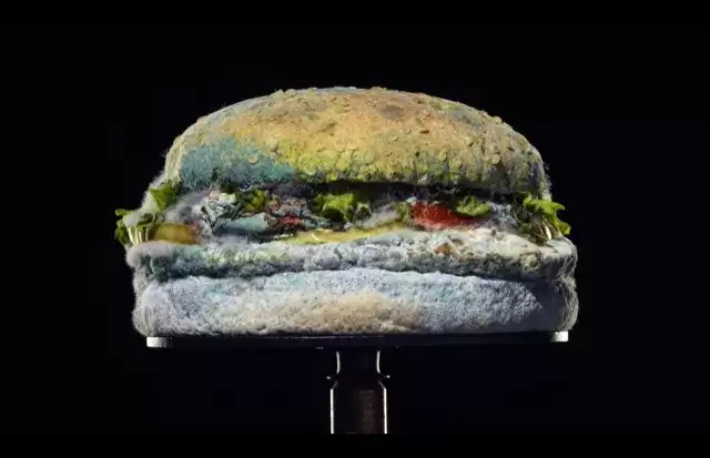 W niespełna minutowym filmiku pt. „Spleśniały Whopper” widzimy 34 dni rozkładu tej flagowej kanapki Burger Kinga, która stopniowo pokrywa się pleśniowym nalotem.