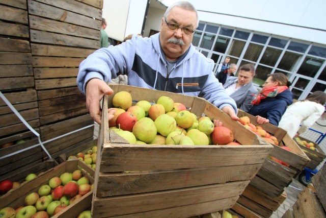 Trwają zapisy na darmowe jabłka