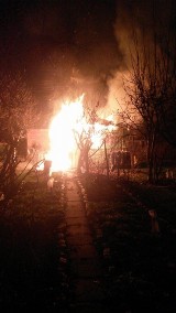 Pożar altanki na Telefonicznej w Łodzi [ZDJĘCIA+FILM]
