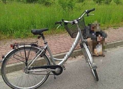 Właścicielka odnalazła człowieka, który… ciągnął skradziony rower po drodze.