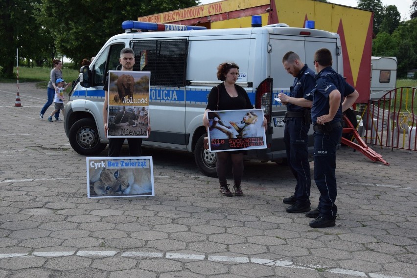 Pikieta pod cyrkiem w Szczecinku. Interweniowali policjanci [zdjęcia]