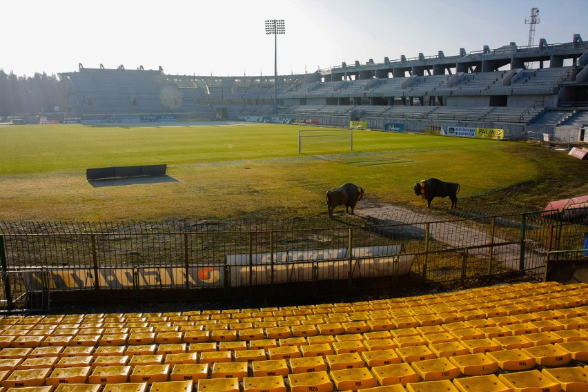 2011 rok. Stadion w trakcie budowy. Kibice jeszcze oglądali...