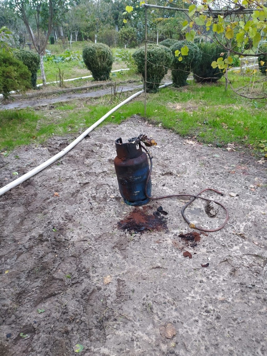 Kompletnie spaliła się altana na Powiślu w Chełmnie