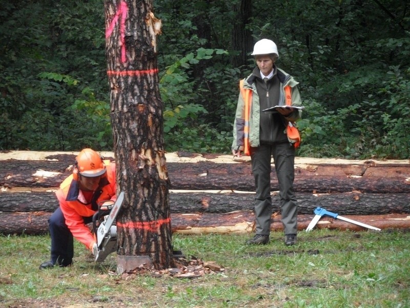 Cietrzewisko 2013 w Koszęcinie