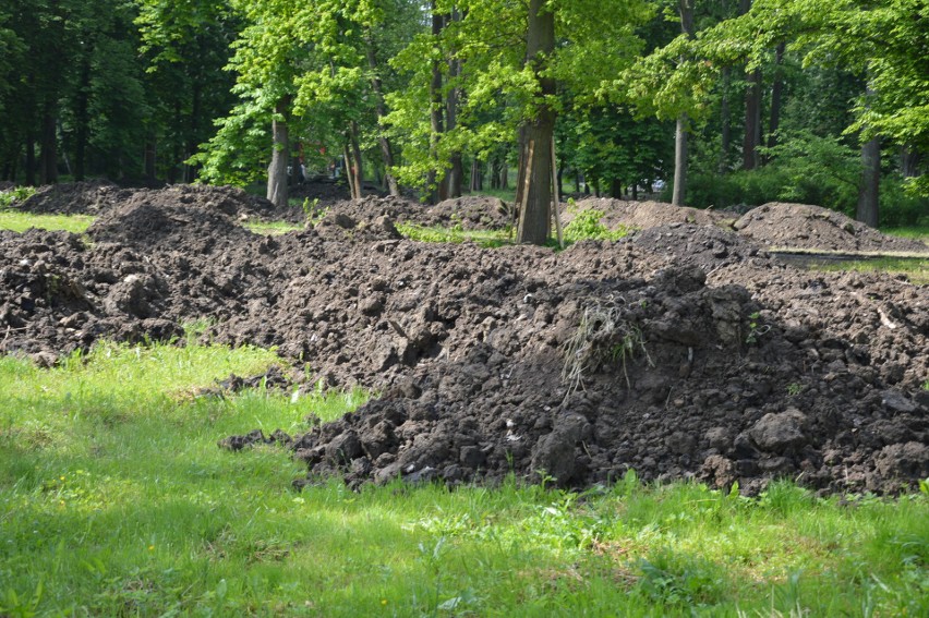 Proszowice. Rozpoczęła się rewitalizacja parku [ZDJĘCIA]