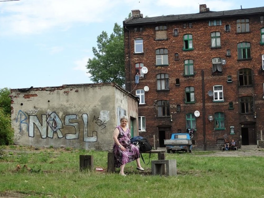 Ruda Śląska: Na Kaufhausie powstaje ogród społeczny