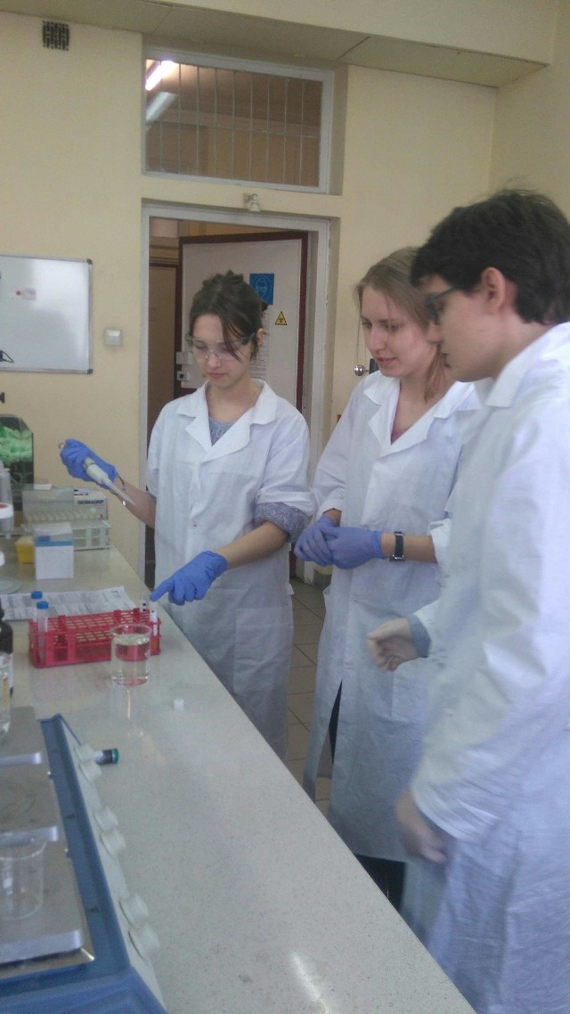 Grupa uczniów z IV LO im. Mikołaja Kopernika w Rybniku wspólnie z naukowcami z Politechniki Śląskiej będzie prowadziła badania w laboratoriach gliwickiej uczelni.