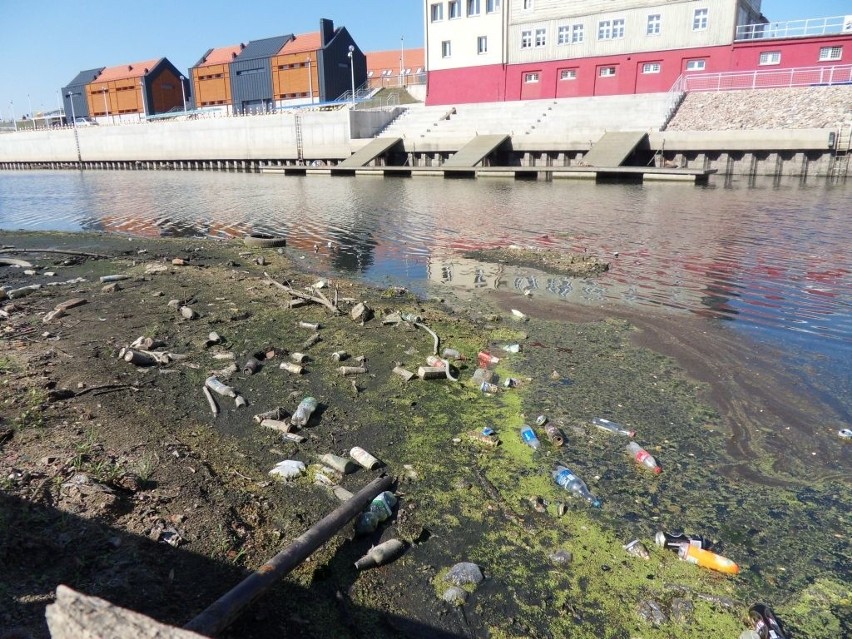 Basen portowy w Grudziądzu jak wysypisko śmieci [zdjęcia i wideo]