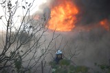 Pożar domu wielorodzionnego w Śmielinie. Z żywiołem walczyło 9 zastępów straży pożarnej