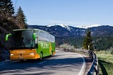 Flixbus odmraża swoje połączenia na okres świąteczno-noworoczny. Większość autobusów pojedzie także w trakcie ferii zimowych [ROZKŁAD JAZDY]