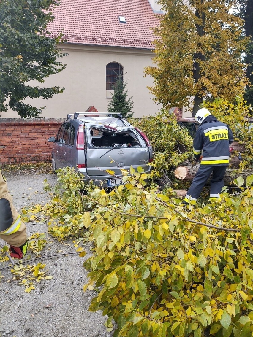 Do wielkopolskich strażaków napływa coraz więcej informacji...