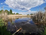 Dolina Trzech Stawów w Chrzanowie. Zapomniane miejsce w nowej odsłonie. Teraz jest tam pięknie. Zobaczcie ZDJĘCIA