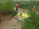 Zła sytuacja w gminie Nysa i powiecie nyskim. Woda przerwała wały