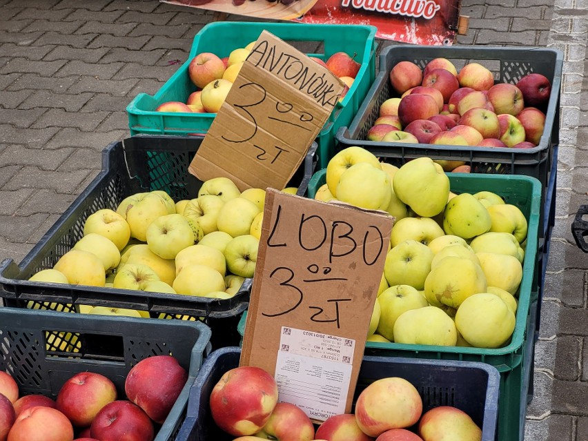 Białystok. Niedzielny handel na giełdzie przy Andersa. Zobacz, ile kosztowały owoce i warzywa (zdjęcia)