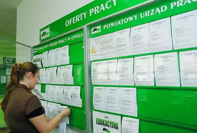 Jak twierdzi Edyta Krubasik, wicedyrektor PUP w Kędzierzynie-Koźlu wiele firm ogłasza się w urzędzie by zdobyć darmową reklamę.