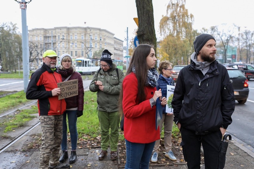 "Nie ma zgody na wycinkę". Miejscy aktywiści chcą wstrzymać wycinkę drzew w ciągu ulicy Piłsudskiego w Szczecinie. Zorganizowali protest