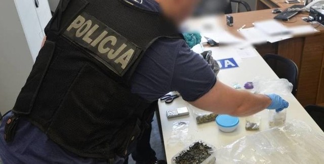 W ciągu ostatnich kilkunastu dni toruńscy policjanci odkryli w trzech miejscach miasta w sumie 7 kilogramów narkotyków. To sporo, ale w ostatnich latach funkcjonariusze konfiskowali w Toruniu i okolicy znacznie większe ilości narkotyków.>>>>>>>