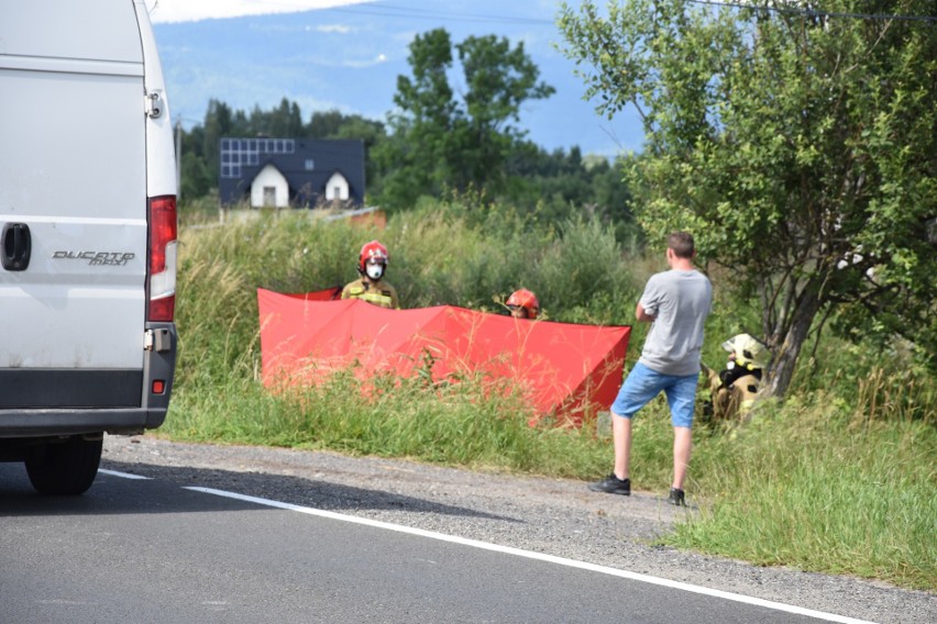 Białka Tatrzańska. Koń wpadł pod samochód. Zwierzę niestety trzeba było uśpić