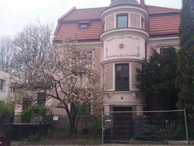 Cieszyński Szlak Magnolii