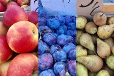 Ceny owoców i warzyw na targowisku w Łopusznie w czwartek 20 października. Ile kosztują gruszki, jabłka i inne? Zobacz zdjęcia