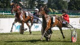 Wyścigi konne na sopockim Hipodromie. Gonitwy i familijny piknik w Sopocie [zdjęcia, wideo]