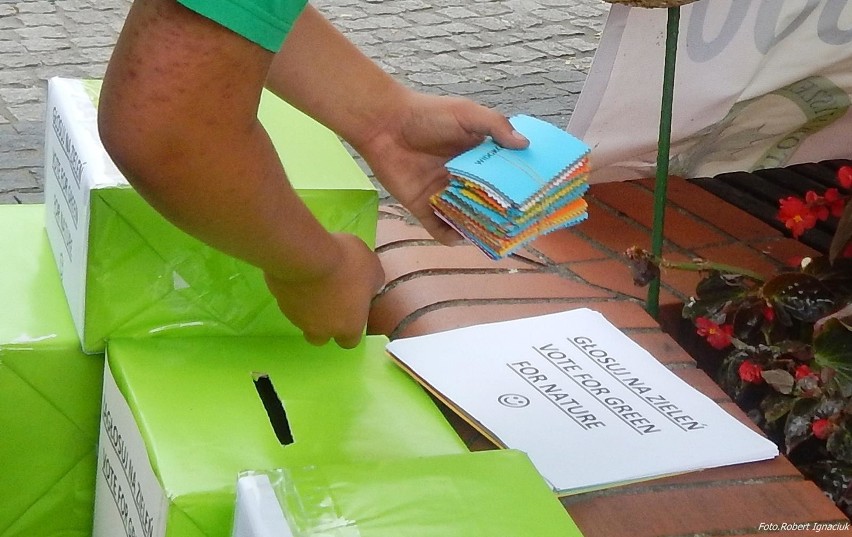 Świnoujście: Stowarzyszenie wyśle zielone kartki do władz miasta [ZDJĘCIA]