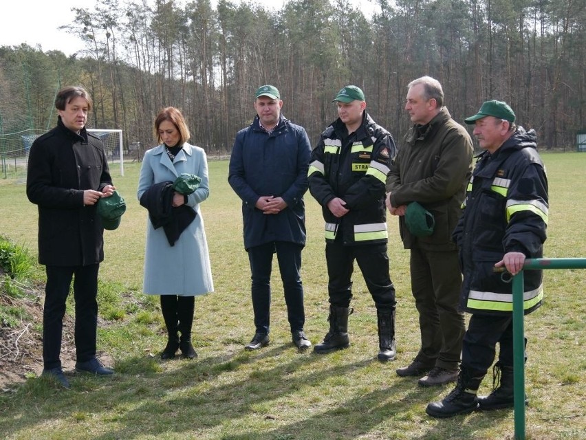 Kolejna akcja sadzenia drzew w Kozienicach. Prawie pół miliona nowych drzewek na terenie Nadleśnictwa