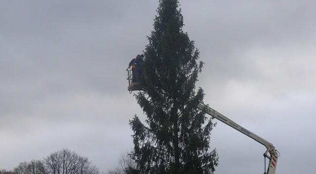 Tradycyjnie, jak co roku Słupsk ozdabiany jest na święta Obecnie trwają prace końcowe. W mieście pojawiły się już choinki. Jedna z nich, 20-metrowa, stanęła na Placu Zwycięstwa.