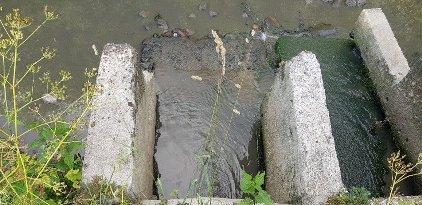 Rzeka Horodnianka jest zanieczyszczona ściekami. Inspektorzy...
