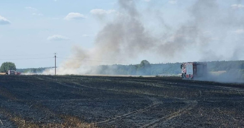 Wielki pożar zbóż w gminie Wolbrom                                        