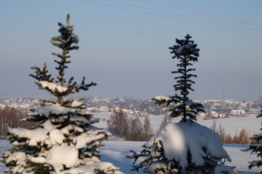 Piękna otulina ojcowskiego parku w zimowej szacie. Znów można podziwiać widoki ostańców w śniegu. Mamy je na zdjęciach