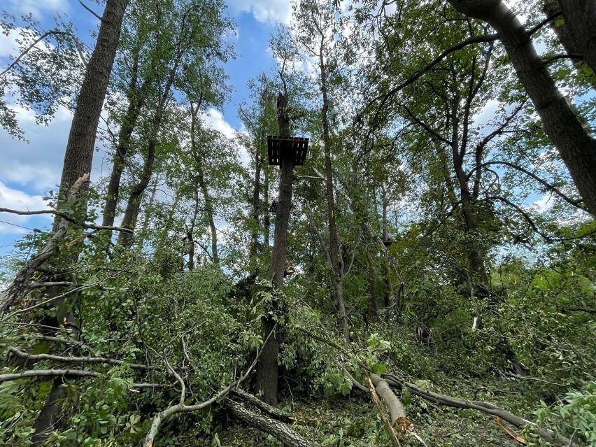 Tak Krakowski Park Linowy wyglądał po przejściu nawałnicy