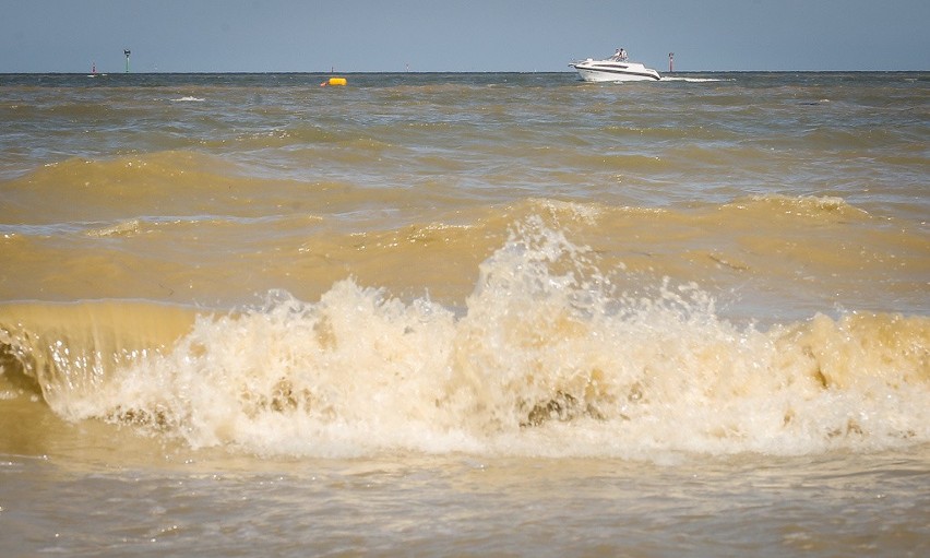 Sinice w Bałtyku. 49 plaż na Pomorzu ma problem z sinicami....