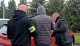 10 kilogramów marihuany w domu koło Głogówka. Policja zatrzymała 29-latka pod zarzutem uprawy narkotyków