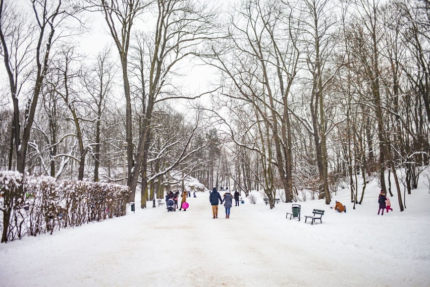Park Bednarskiego w pięknej, zimowej scenerii