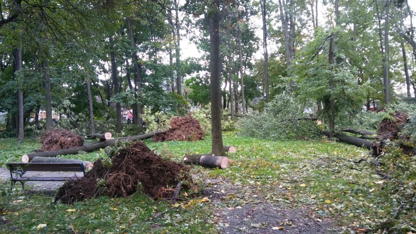 Park żywiecki został zniszczony przez orkan Ksawery nawet w...