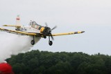 Pożar lasu w Boguszowicach. Samolot zrzuca wodę